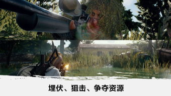 绝地游戏手游,指尖上的生存挑战(图3) 绝地游戏手游,指尖上的生存挑战(图3)