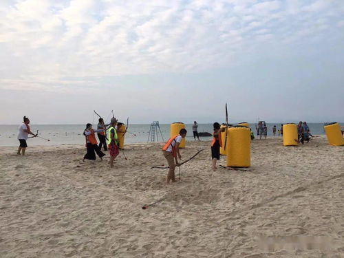 沙滩户外游戏,沙滩户外游戏的欢乐时光(图2) 沙滩户外游戏,沙滩户外游戏的欢乐时光(图2)