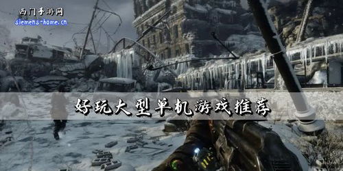 美国大型单机游戏(图1) 美国大型单机游戏(图1)