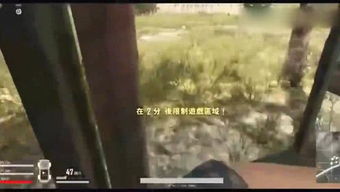 老赵爱游戏,尽享欢乐时光(图1)