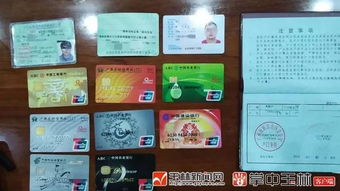 万能豆游戏,探索无尽乐趣的奇幻之旅(图1)