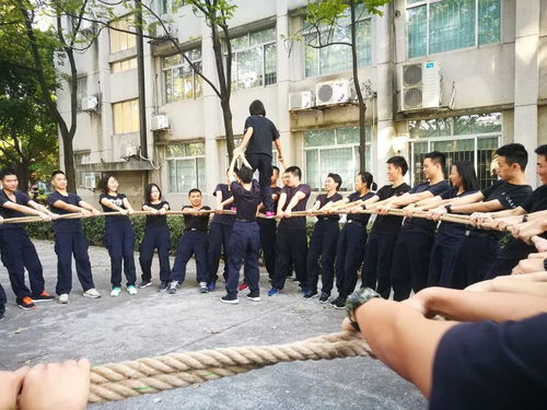 踩绳子游戏,团队协作与平衡感的极限考验(图1) 踩绳子游戏,团队协作与平衡感的极限考验(图1)