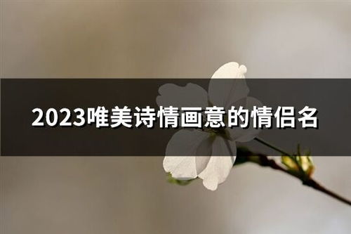 诗情画意的情侣游戏名,探寻浪漫情侣游戏的甜蜜足迹(图3) 诗情画意的情侣游戏名,探寻浪漫情侣游戏的甜蜜足迹(图3)