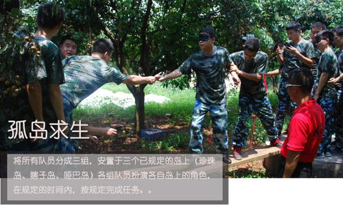 野外团队游戏,团队协作的野外挑战之旅(图3) 野外团队游戏,团队协作的野外挑战之旅(图3)