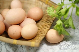 吃鸡蛋游戏(图3) 吃鸡蛋游戏(图3)