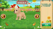 宠物培养游戏,打造你的专属宠物乐园(图2) 宠物培养游戏,打造你的专属宠物乐园(图2)