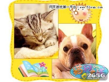 狗猫游戏下载,狗猫游戏下载攻略(图1)
