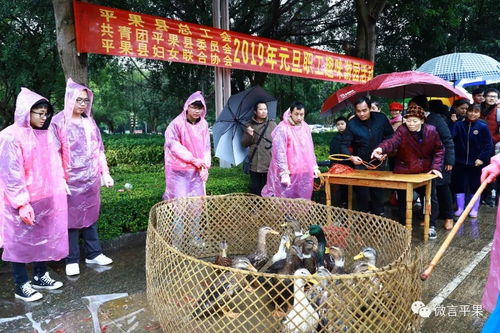 平果县游戏,打造数字娱乐新地标(图2) 平果县游戏,打造数字娱乐新地标(图2)