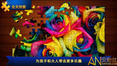 拼图游戏挂,享受乐趣的益智之旅(图3)