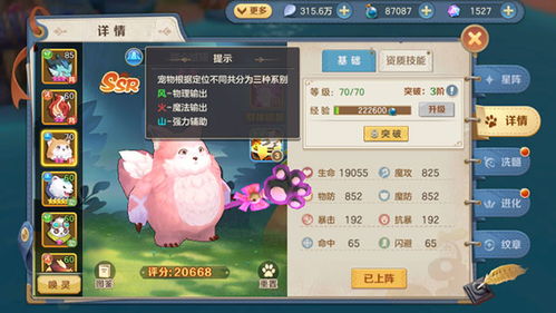 宠物进化单机游戏,从萌宠到传奇的奇幻之旅(图2) 宠物进化单机游戏,从萌宠到传奇的奇幻之旅(图2)