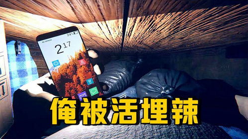 活埋游戏,揭秘活埋游戏的惊悚真相(图3) 活埋游戏,揭秘活埋游戏的惊悚真相(图3)