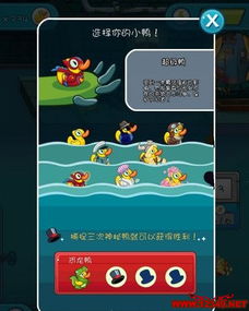 洗澡鸭游戏,欢乐水花中的趣味冒险之旅(图2) 洗澡鸭游戏,欢乐水花中的趣味冒险之旅(图2)