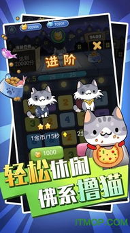 猫咪消除游戏,欢乐无限挑战(图2) 猫咪消除游戏,欢乐无限挑战(图2)