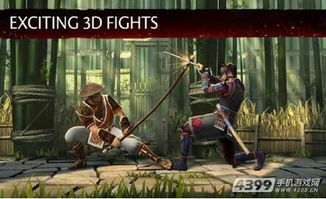 武器格斗游戏,武器格斗游戏的激情对决(图2) 武器格斗游戏,武器格斗游戏的激情对决(图2)