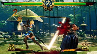 武器格斗游戏,武器格斗游戏的激情对决(图1) 武器格斗游戏,武器格斗游戏的激情对决(图1)