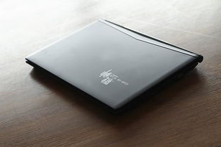 轻便游戏本,畅享移动游戏乐趣(图2) 轻便游戏本,畅享移动游戏乐趣(图2)
