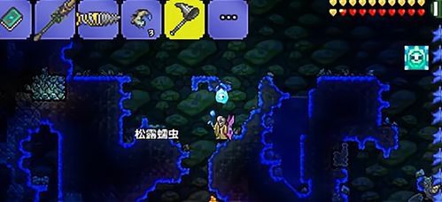 游戏狗泰拉瑞亚盒子(图3) 游戏狗泰拉瑞亚盒子(图3)