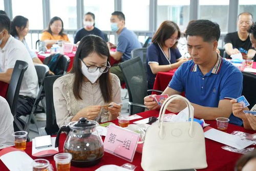fpa游戏(图2) fpa游戏(图2)