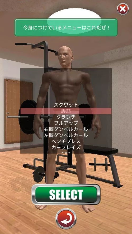 练肌肉游戏,揭秘肌肉游戏中的健身奥秘(图1) 练肌肉游戏,揭秘肌肉游戏中的健身奥秘(图1)