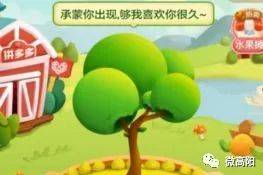 微信种树游戏,指尖上的环保之旅”(图2) 微信种树游戏,指尖上的环保之旅”(图2)
