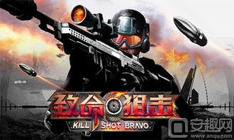 狙击大型游戏,大型游戏中的生死较量(图2)