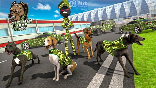 军犬游戏,忠诚与勇气的竞技场(图1) 军犬游戏,忠诚与勇气的竞技场(图1)