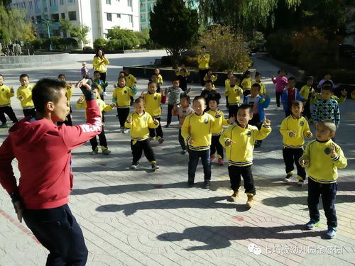 体能互动游戏,体能互动游戏欢乐盛宴(图1) 体能互动游戏,体能互动游戏欢乐盛宴(图1)