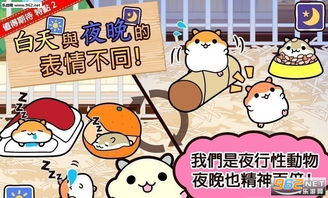 关于仓鼠游戏,探索仓鼠世界中的欢乐与智慧(图1) 关于仓鼠游戏,探索仓鼠世界中的欢乐与智慧(图1)