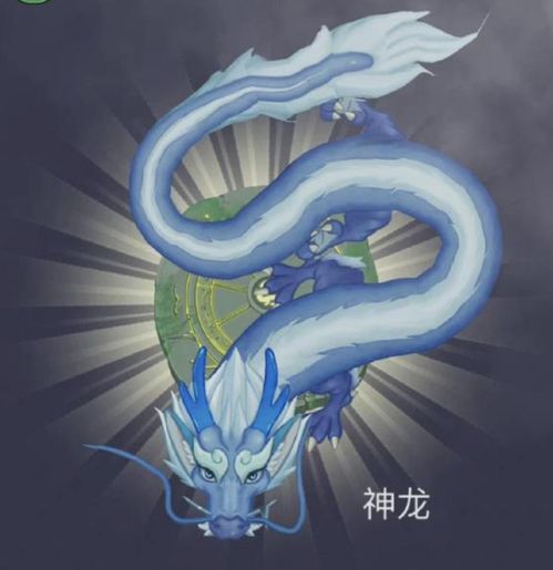 神龙取水游戏,解锁神秘宝藏的奥秘(图3)