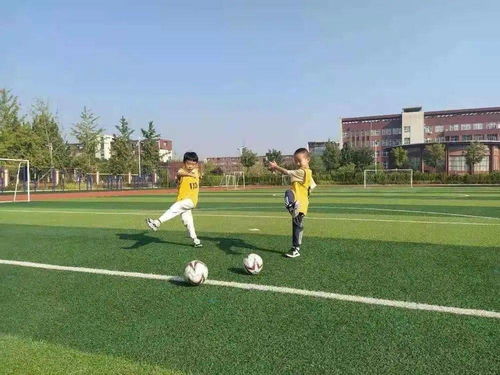 初中足球游戏,激情四溢的绿茵青春(图1) 初中足球游戏,激情四溢的绿茵青春(图1)