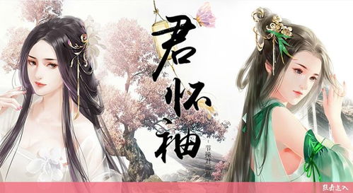 君怀袖游戏,探索古代江湖的奇幻之旅(图2) 君怀袖游戏,探索古代江湖的奇幻之旅(图2)