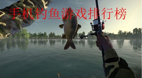 中国钓鱼游戏,乐享自然之美(图3) 中国钓鱼游戏,乐享自然之美(图3)