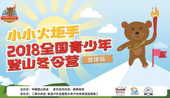 心理资本游戏,揭秘心灵成长的力量之旅(图1) 心理资本游戏,揭秘心灵成长的力量之旅(图1)