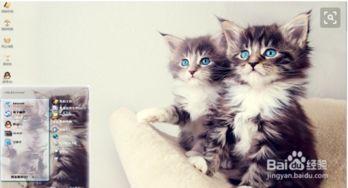 竹节猫游戏,穿越时空的奇幻冒险之旅(图1)