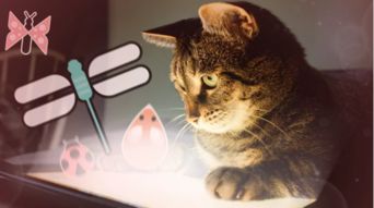 竹节猫游戏,穿越时空的奇幻冒险之旅(图3)