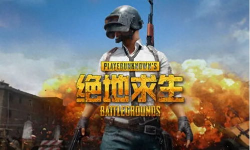pubg这游戏,揭秘绝地求生的生存法则与竞技魅力(图2) pubg这游戏,揭秘绝地求生的生存法则与竞技魅力(图2)