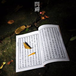 佛经看待游戏,佛经视角下的虚拟世界探索(图1) 佛经看待游戏,佛经视角下的虚拟世界探索(图1)