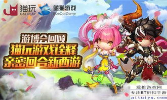 完美游戏猫,揭秘虚拟世界的喵星人传奇(图3) 完美游戏猫,揭秘虚拟世界的喵星人传奇(图3)
