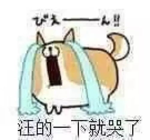 扔核桃游戏,一场欢乐无限的扔核桃游戏体验(图3) 扔核桃游戏,一场欢乐无限的扔核桃游戏体验(图3)