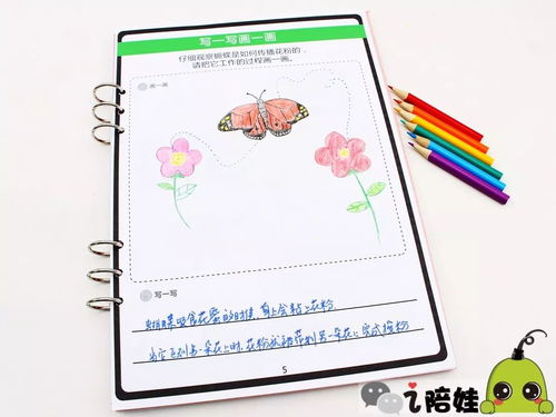 因果游戏幼儿,培养幼儿认知与思维的小小世界(图3) 因果游戏幼儿,培养幼儿认知与思维的小小世界(图3)