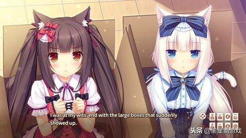 游戏福利猫,解锁无限乐趣的奇幻之旅(图2) 游戏福利猫,解锁无限乐趣的奇幻之旅(图2)