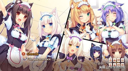 游戏福利猫,解锁无限乐趣的奇幻之旅(图3) 游戏福利猫,解锁无限乐趣的奇幻之旅(图3)
