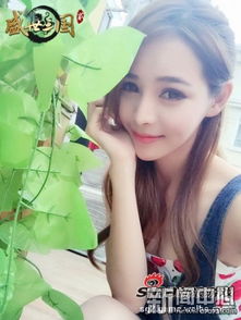 伴游游戏,畅游虚拟世界(图3) 伴游游戏,畅游虚拟世界(图3)