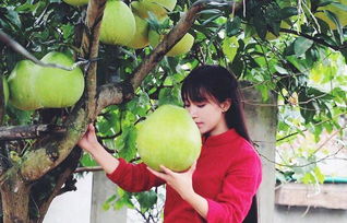 李子染游戏,探索无限可能(图1) 李子染游戏,探索无限可能(图1)