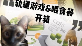 暹罗的游戏,解锁神秘游戏之谜(图1) 暹罗的游戏,解锁神秘游戏之谜(图1)