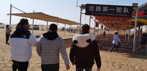 治沙游戏,探索治沙游戏中的生态修复之旅(图1) 治沙游戏,探索治沙游戏中的生态修复之旅(图1)
