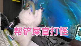 臭臭打游戏,一场热血沸腾的游戏之旅(图1) 臭臭打游戏,一场热血沸腾的游戏之旅(图1)
