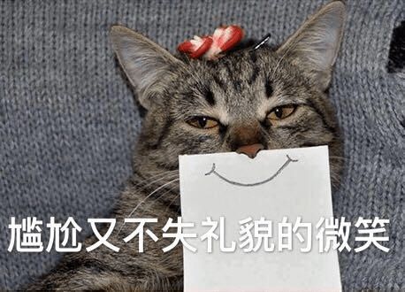 猫丢了游戏,一场关于爱与勇气的猫丢冒险之旅(图1) 猫丢了游戏,一场关于爱与勇气的猫丢冒险之旅(图1)