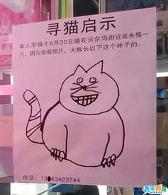 猫丢了游戏,一场关于爱与勇气的猫丢冒险之旅(图2) 猫丢了游戏,一场关于爱与勇气的猫丢冒险之旅(图2)