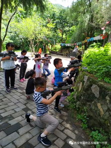 大型弹弓游戏,大型弹弓游戏的激情冒险之旅(图3) 大型弹弓游戏,大型弹弓游戏的激情冒险之旅(图3)